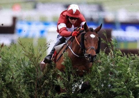 Tiger Roll, who could start favourite for Saturday's big race.