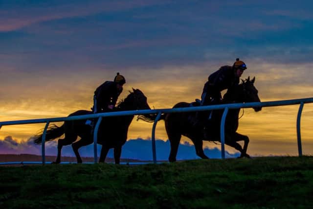 Horse on the gallops at Middleham in north Yorkshire, where Mark Johnston and Karl Burke train. (PHOTO BY: Charlotte Graham)