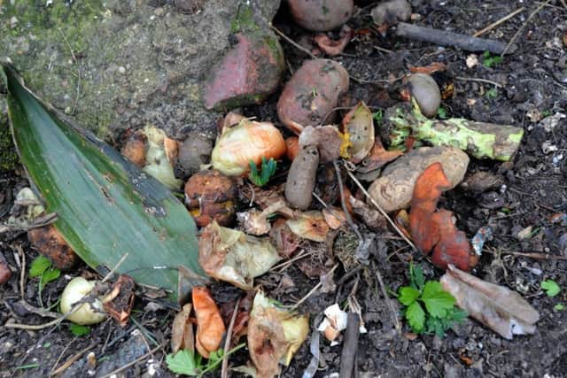 George Davison says this is the compost heap council bosses want him to sort out.