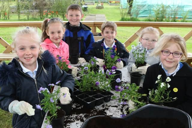 Pupils from North Wingfield primary school help pot up some bedding. Pictures by Jason Chadwick.