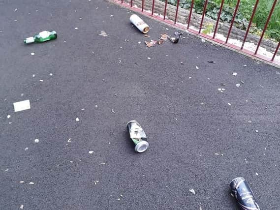 The beer cans and bottles in the park this morning.