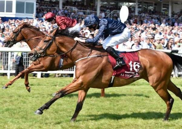 Rhododendron (number 16) pips Lightning Spear to win the Group One Al Shaqab Lockinge Stakes at Newbury on Saturday.